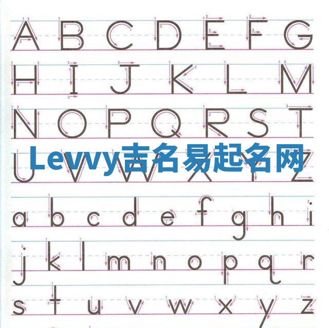 Levvy吉名易起名网