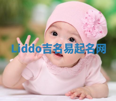 Liddo吉名易起名网