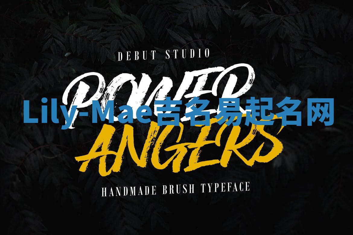 Lily-Mae吉名易起名网
