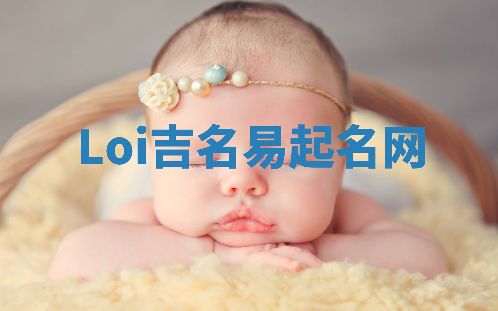 Loi吉名易起名网