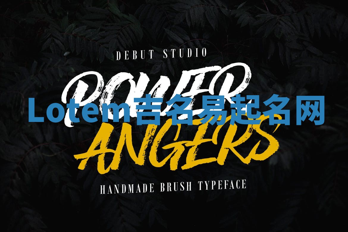 Lotem吉名易起名网