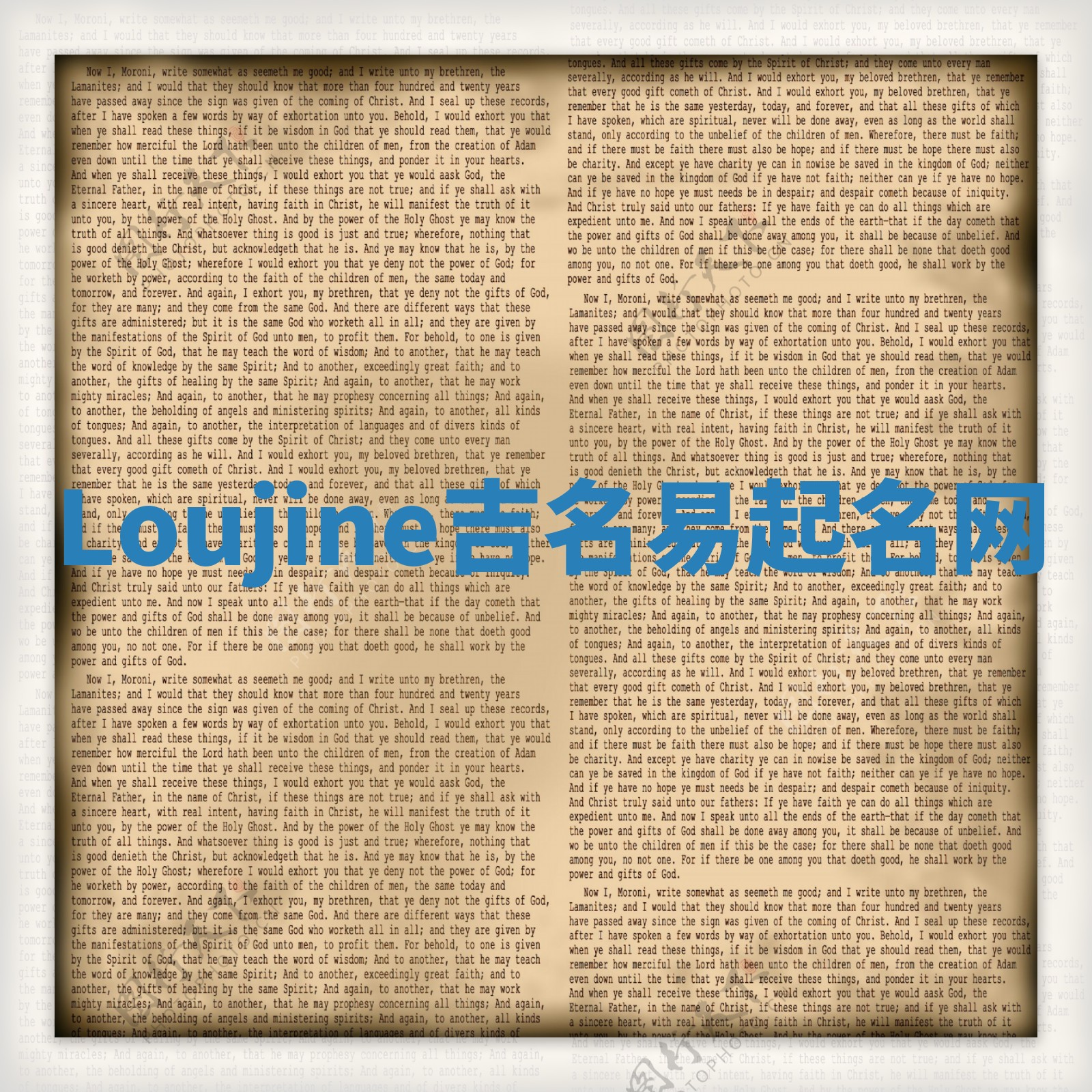Loujine吉名易起名网