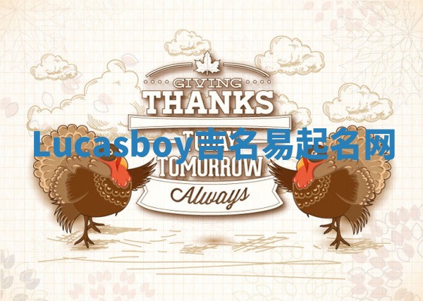 Lucasboy吉名易起名网