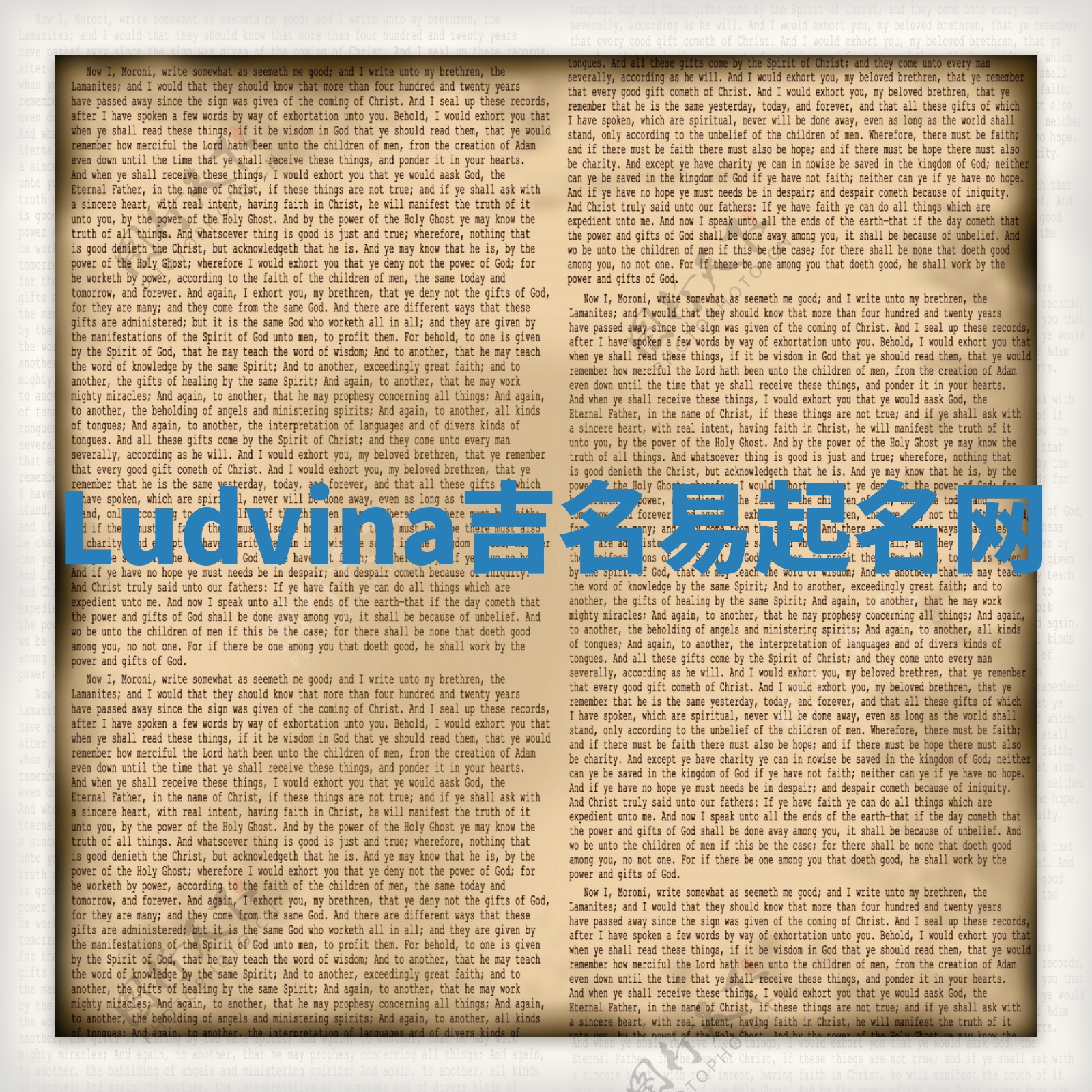 Ludvina吉名易起名网