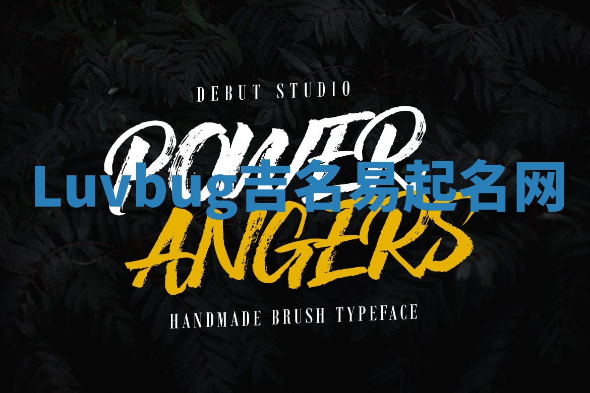 Luvbug吉名易起名网