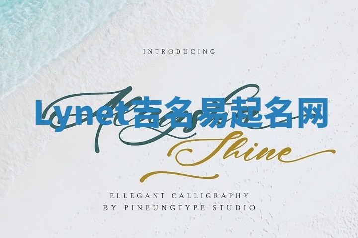 Lynet吉名易起名网