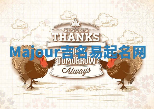 Majour吉名易起名网