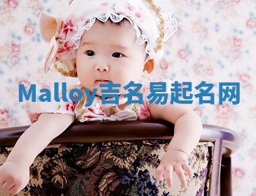 Malloy吉名易起名网