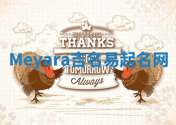 Meyara吉名易起名网