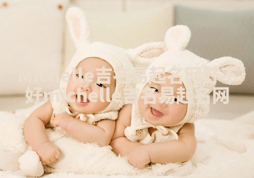 Michelle吉名易起名网好不好_michelle 吉名易起名网