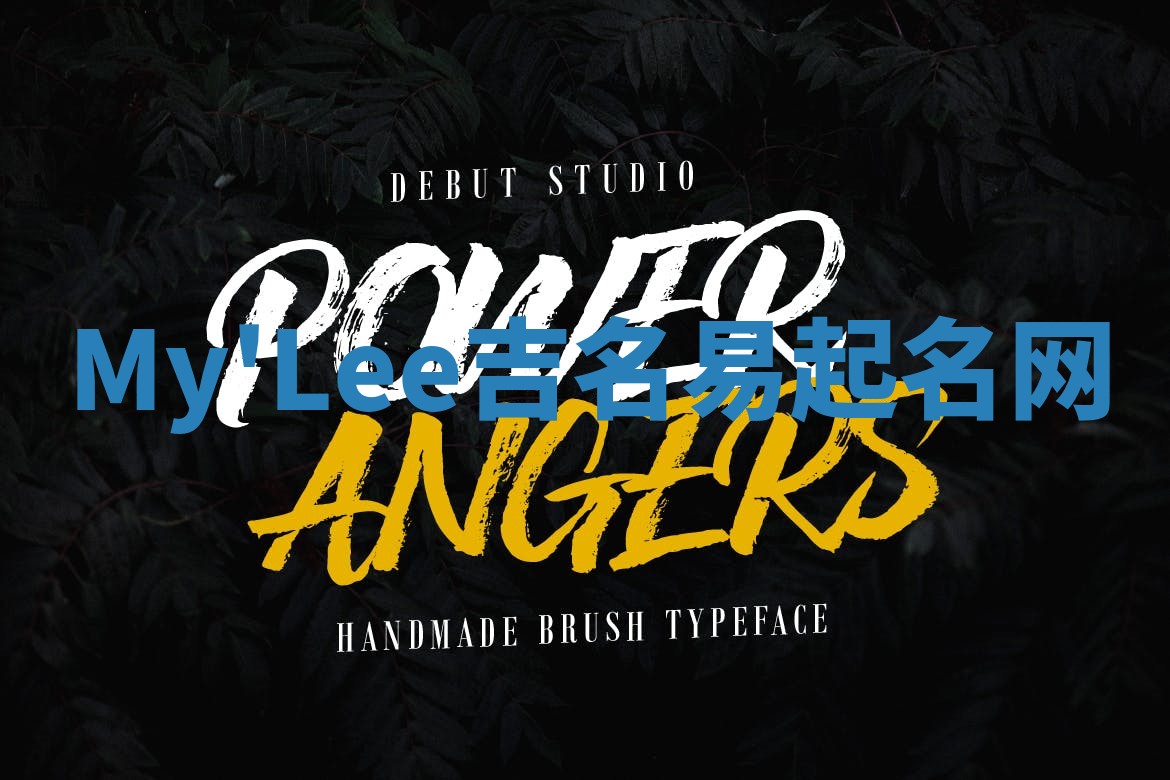 My'Lee吉名易起名网