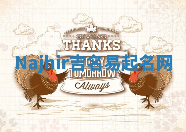 Najhir吉名易起名网