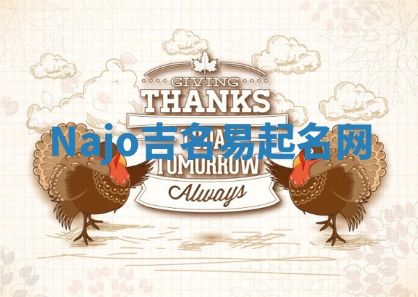 Najo吉名易起名网