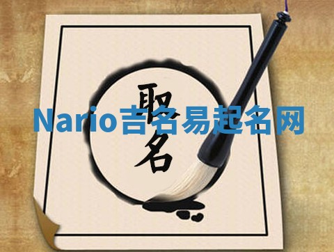 Nario吉名易起名网