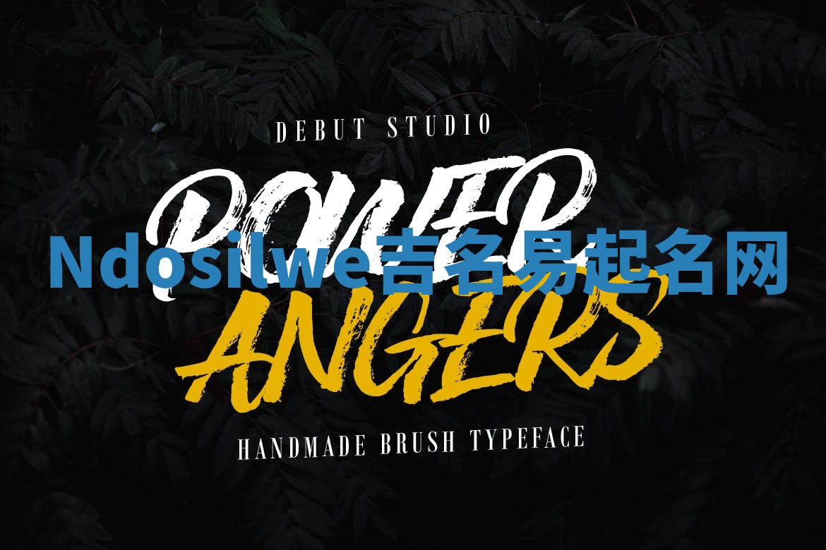 Ndosilwe吉名易起名网