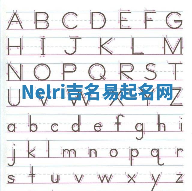 Nelri吉名易起名网