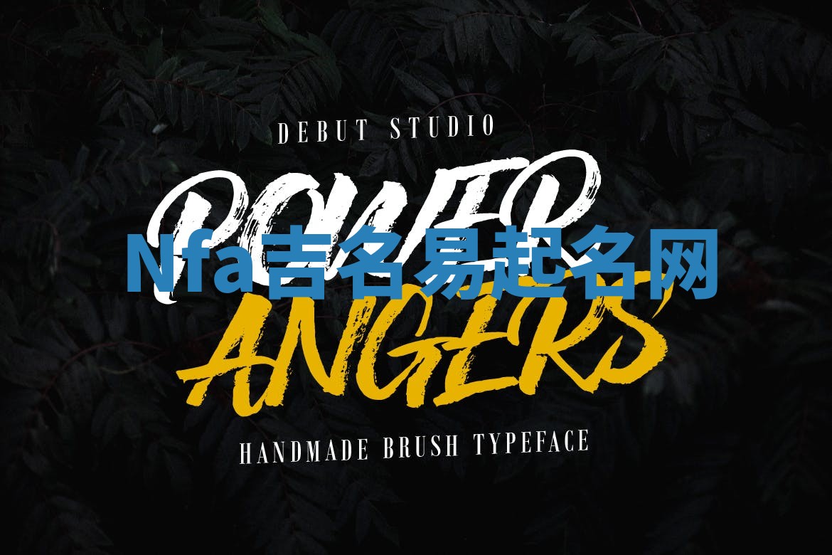 Nfa吉名易起名网