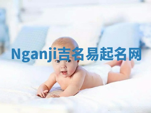 Nganji吉名易起名网