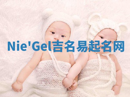 Nie'Gel吉名易起名网