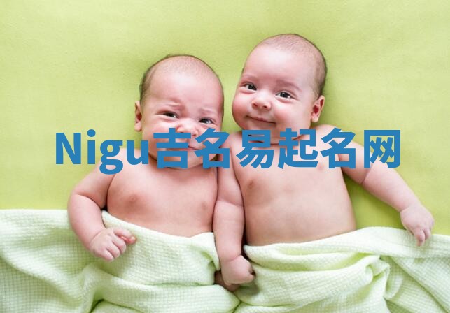 Nigu吉名易起名网