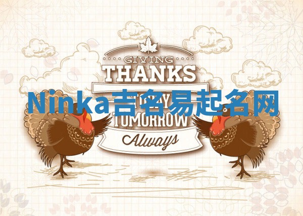 Ninka吉名易起名网