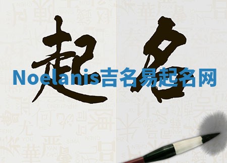 Noelanis吉名易起名网