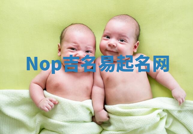 Nop吉名易起名网