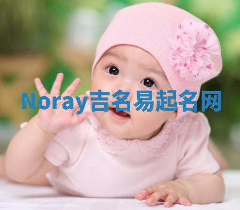 Noray吉名易起名网