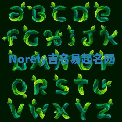 Norely吉名易起名网