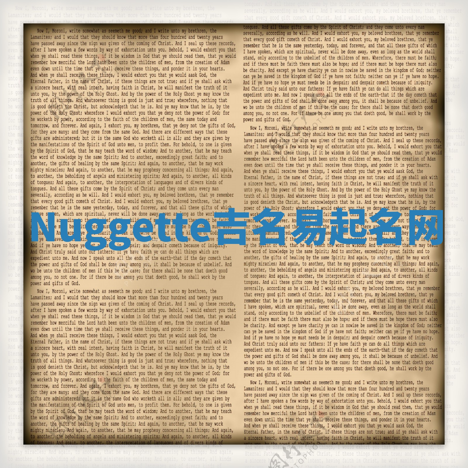 Nuggette吉名易起名网