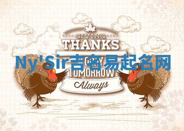 Ny'Sir吉名易起名网