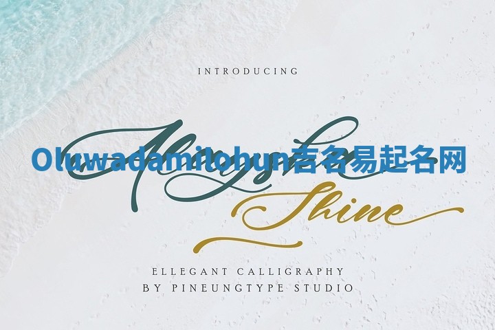 Oluwadamilohun吉名易起名网 Oluwadamilohun吉名易起名网