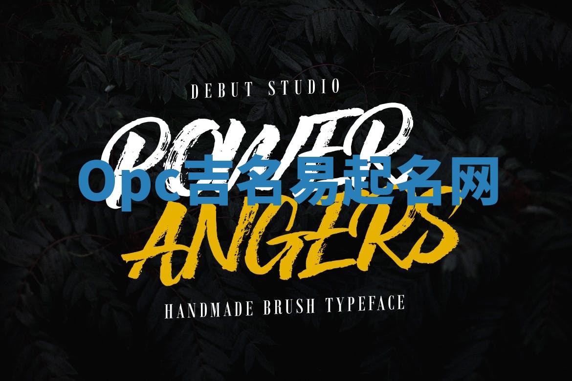 Opc吉名易起名网