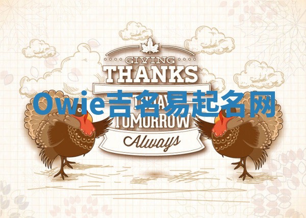 Owie吉名易起名网