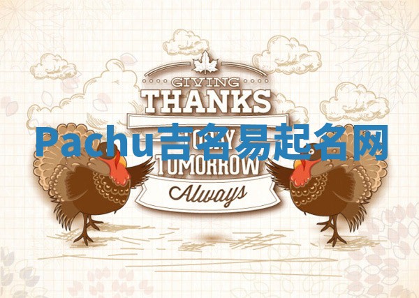 Pachu吉名易起名网 Pachu吉名易起名网