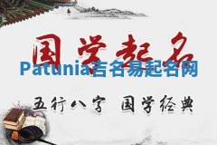 Patunia吉名易起名网 Patunia吉名易起名网