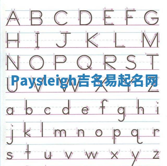 Paysleigh吉名易起名网