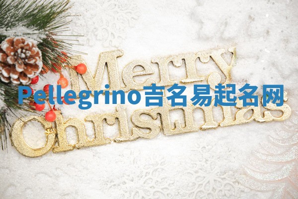 Pellegrino吉名易起名网