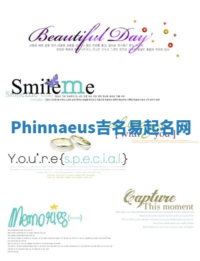 Phinnaeus吉名易起名网