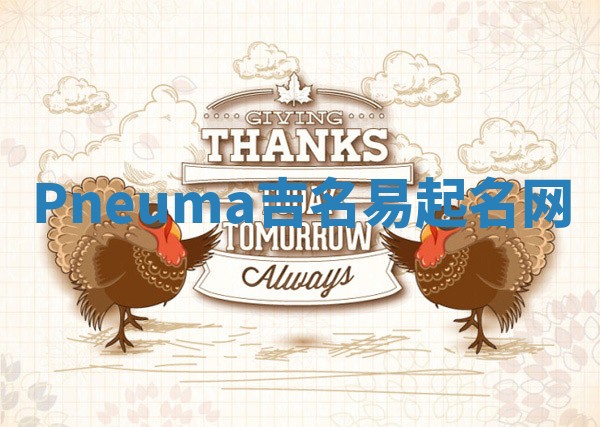 Pneuma吉名易起名网