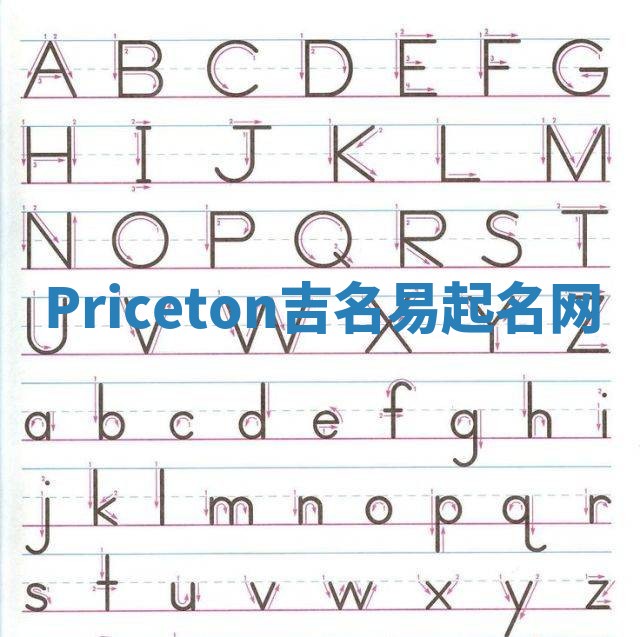 Priceton吉名易起名网