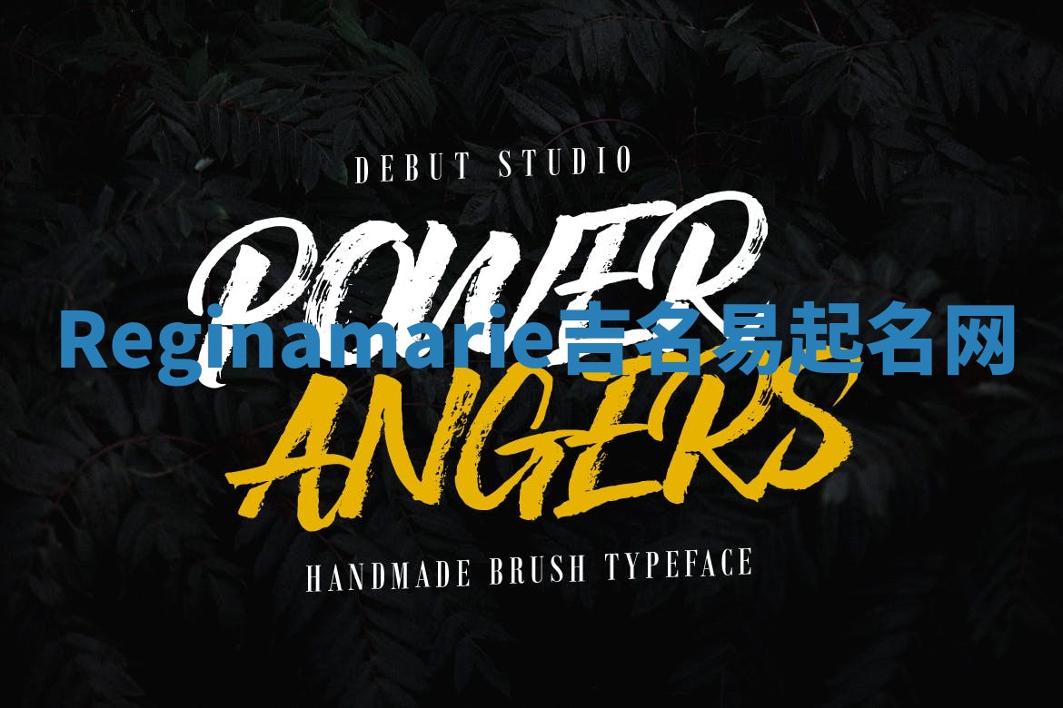 Reginamarie吉名易起名网 Reginamarie吉名易起名网