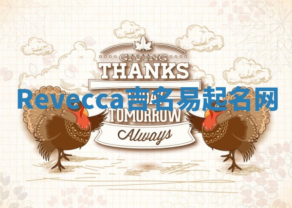 Revecca吉名易起名网