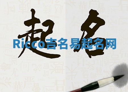 Ricco吉名易起名网