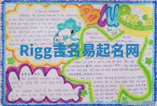 Rigg吉名易起名网