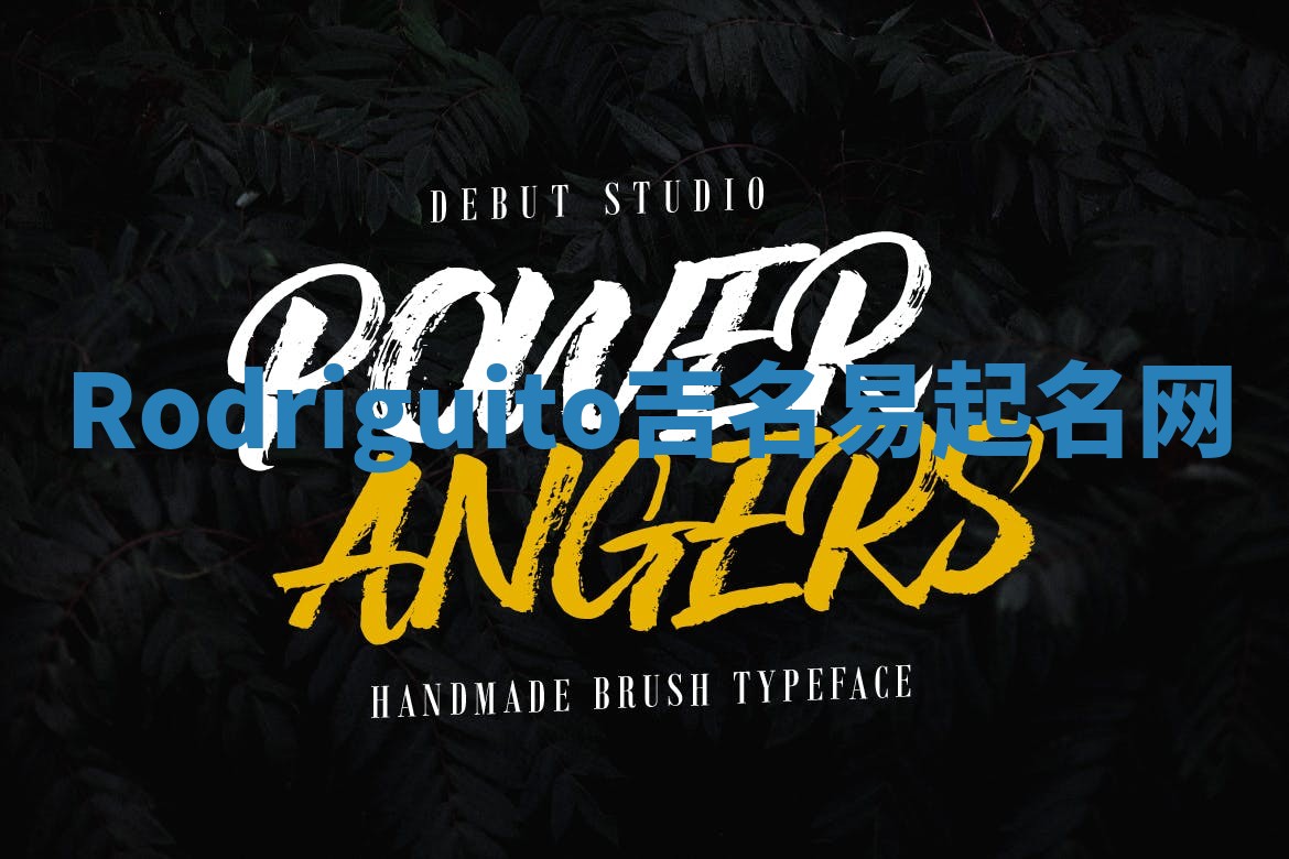 Rodriguito吉名易起名网