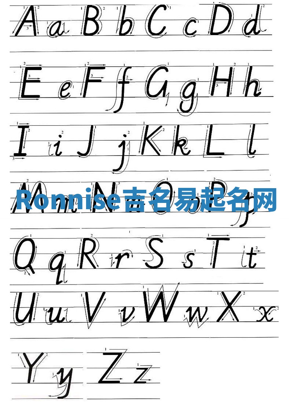 Ronnise吉名易起名网