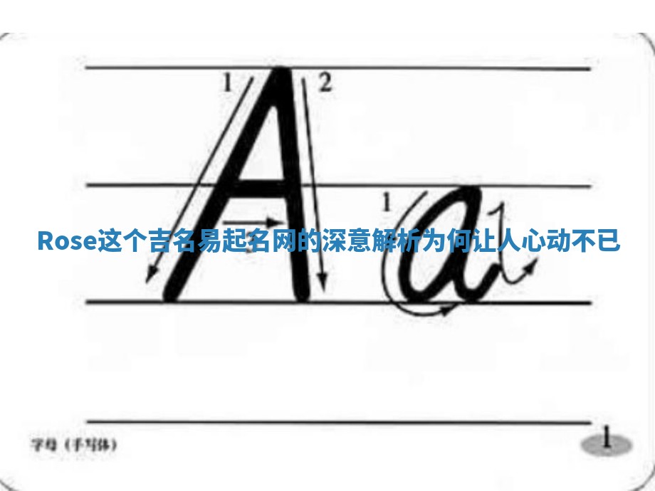 Rose这个吉名易起名网的深意解析为何让人心动不已