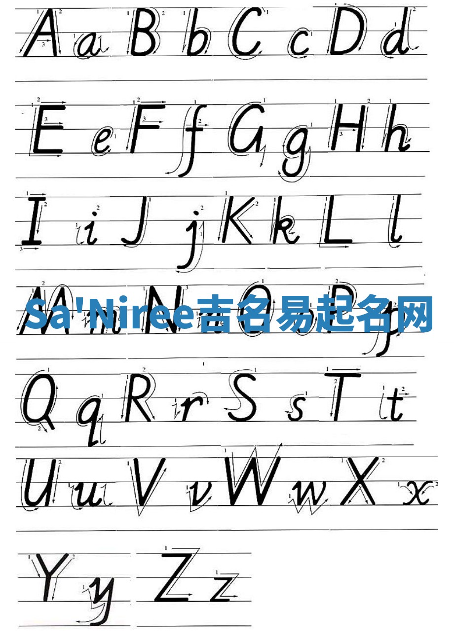 Sa'Niree吉名易起名网