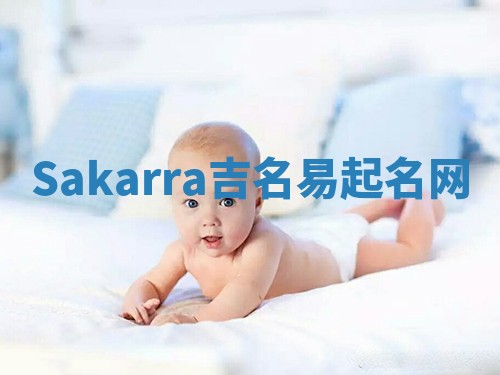 Sakarra吉名易起名网